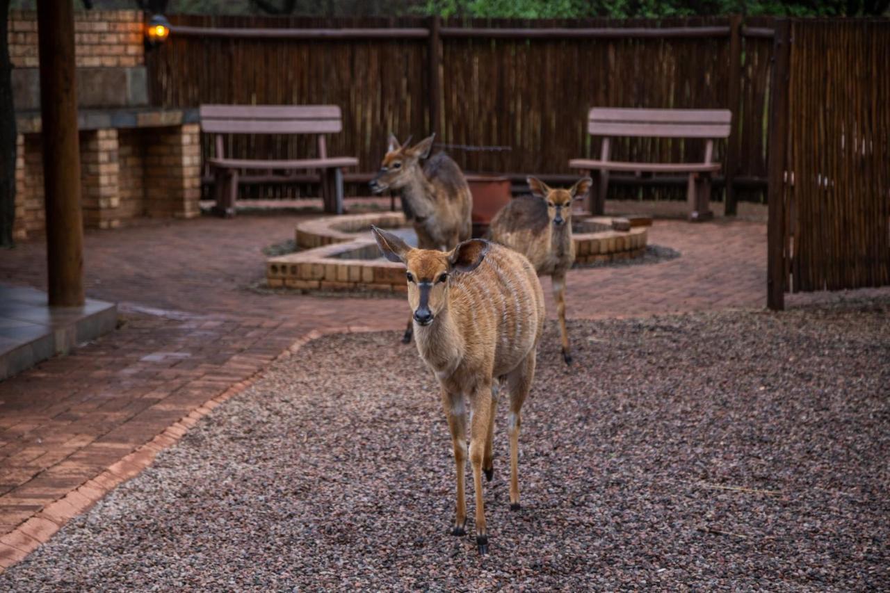 Sondela Nature Reserve & Spa Chalets Bela-Bela Extérieur photo